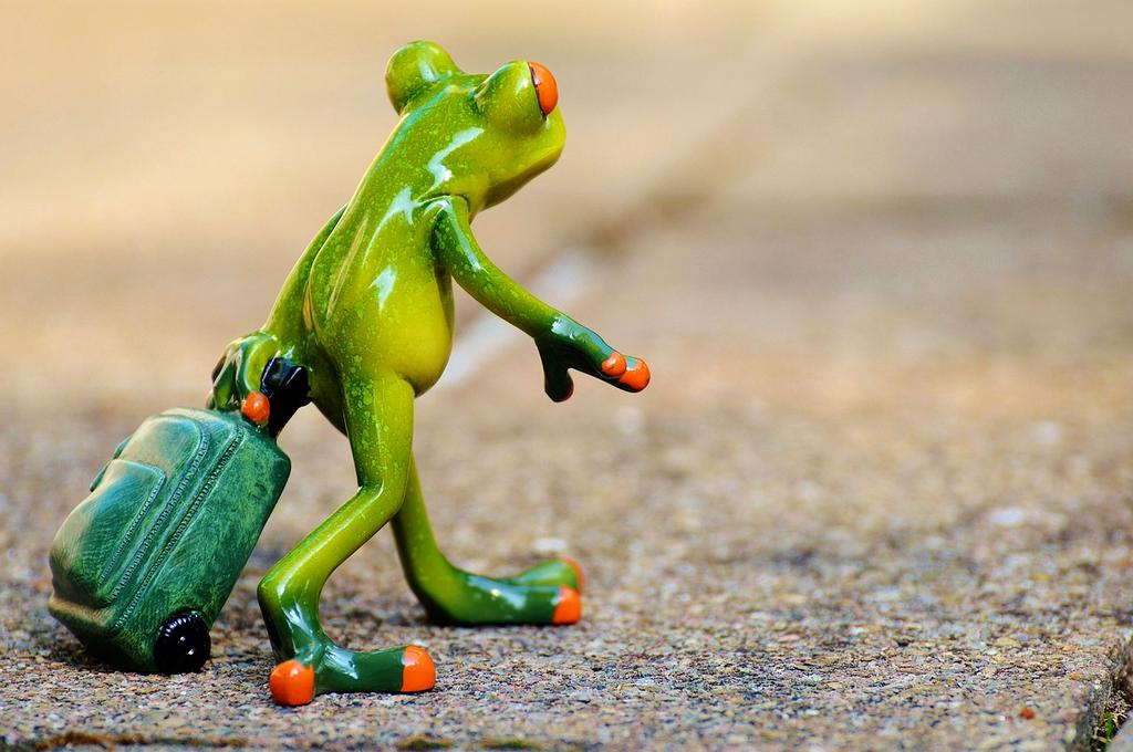 Book consultation now button icon