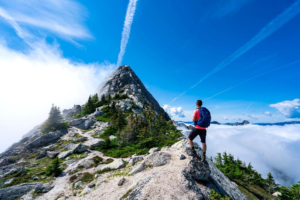 Campfire setup under a starry sky in wilderness