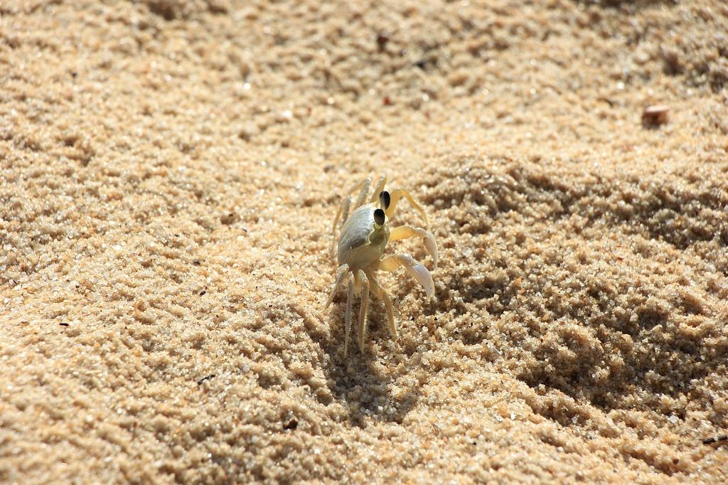 Climber securing safety harness on rock face