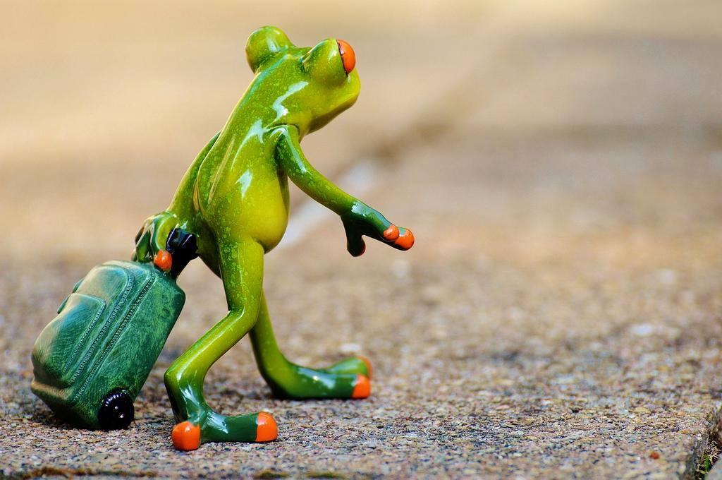 User name input field icon